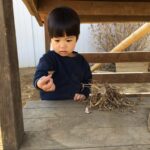 クリスマスは突然..