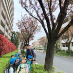 「みどりのはっぱがはえてる！」